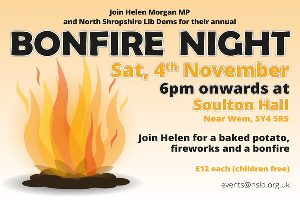 Bonfire night poster